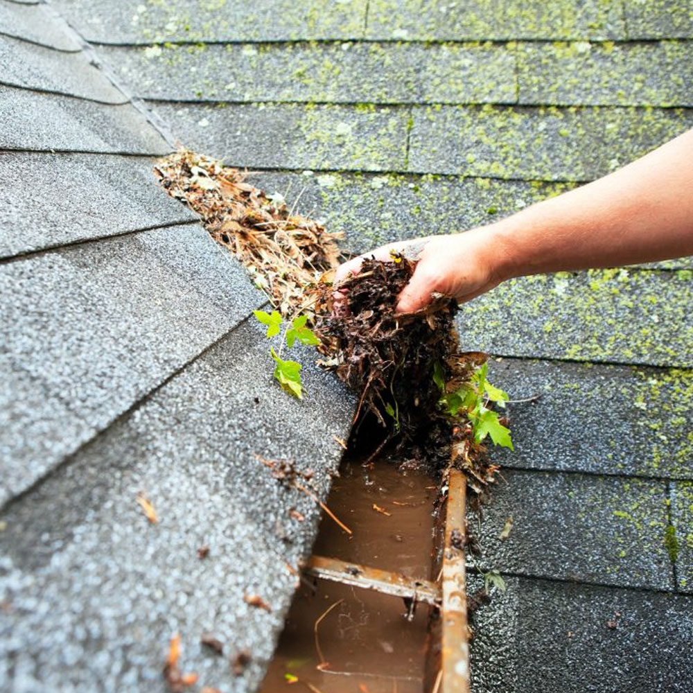 Gutter Cleaning Sparks